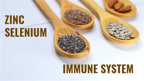 Do Zinc And Selenium Enhance Immunity Healthappiness Nutrition