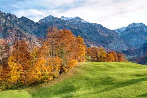 Braunwald Photos Stock Photos Pictures And Royalty Free Images Istock