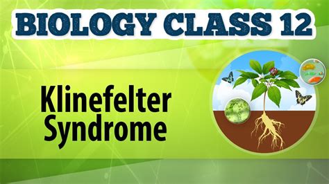 Klinefelters Syndrome Chromosomal Basis Of Inheritance Biology