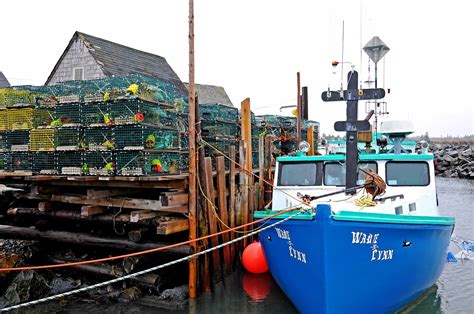 Nova Scotias Silent Outcry What Happened At The Lobster Fisheries
