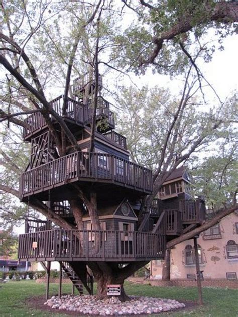Cool Treehouse Design Ideas To Build 44 Pictures