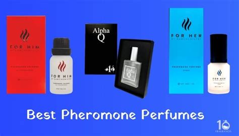 Does Pheromone Perfume Work Everything You Should Know