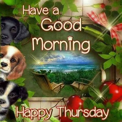 Puppy Good Morning Happy Thursday Pictures Photos And Images For Facebook Tumblr Pinterest
