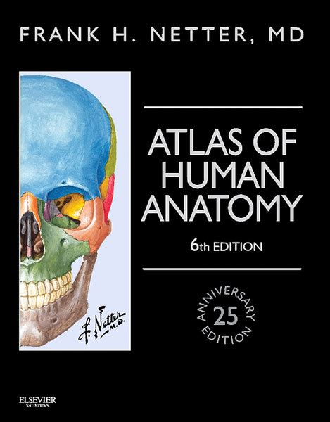Netter Atlas Of Human Anatomy