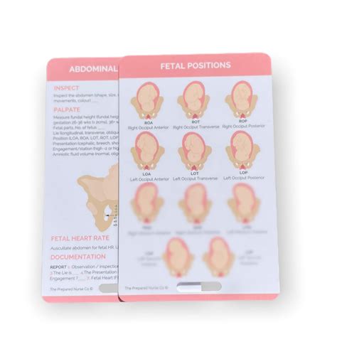 Abdominal Examination And Fetal Positions Midwifery Reference Etsy
