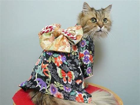 Welcome To The World Of Kitties In Japanese Kimonos Cats Cat Clothes