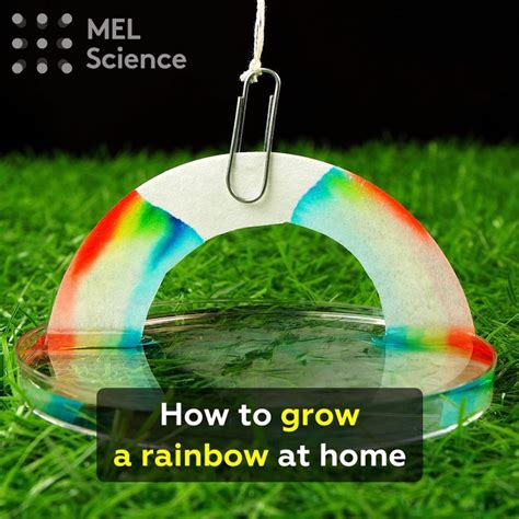 How To Grow A Rainbow At Home Video Science Experiments For
