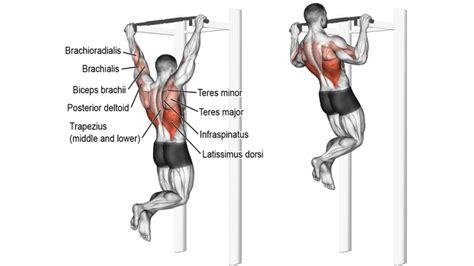 How To Do A Pull Up Upper Body Strength Exercises For