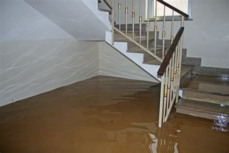 How To Clean Up Sewage In A Basement Flood Services