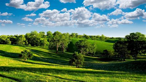 3840x2160 Resolution Landscape Photography Of Green Hills With Trees