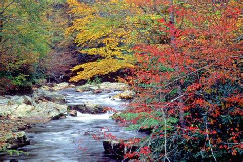 Fall Colors In Gatlinburg And Great Smoky Mountains National Park