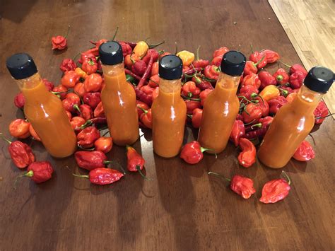 First Try At Hot Sauce Ghost Pepper Sauce So Good Rhotpeppers