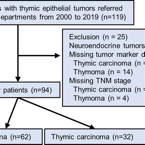 Flow Chart Of 119 Patients With Pathologically‐proven Thymic Epithelial