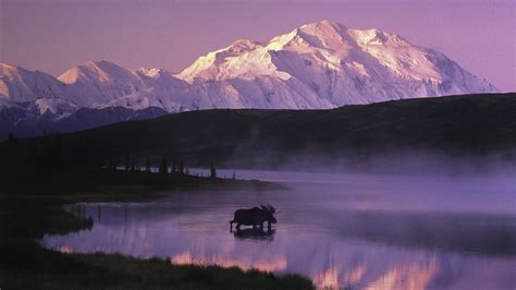 Alaska Wallpaper Screensaver 56 Images