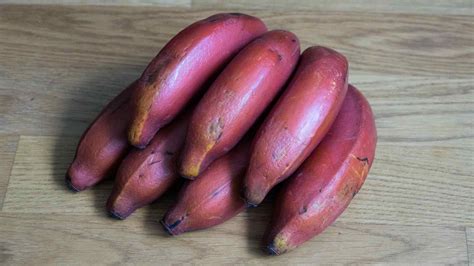 Red Banana Health Benefits And Nutrition Healthy Day