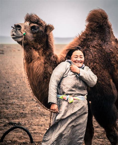Mongolias Thousand Camel Festival Eternal Landscapes Mongolia