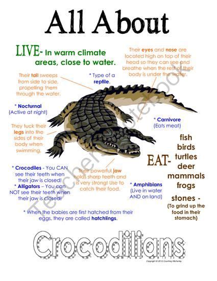 Teachers Notebook Study Unit Animal Unit Study Crocodile Facts For Kids