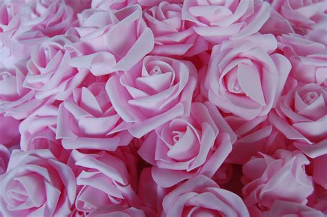 More images for roze decoratie » Decoratie roos roze