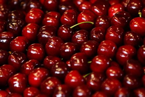 6 Reasons Why Eating Cherries Is Scientifically Good For You Healthy Benefits How To Stay