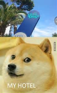 20 Best Doge Images On Pinterest Funny Memes Funny Stuff And Funny