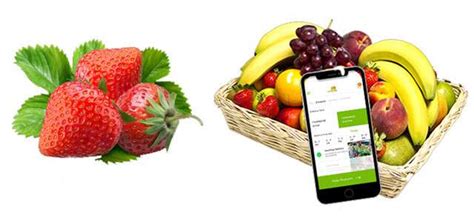 3 Apps That Deliver Fresh From The Farm To Your Doorstep
