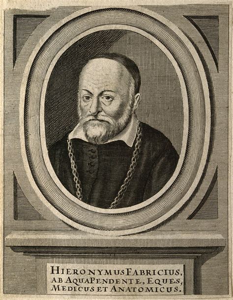 Hieronymus Fabricius of Aquapendente. Line engraving. | Wellcome Collection