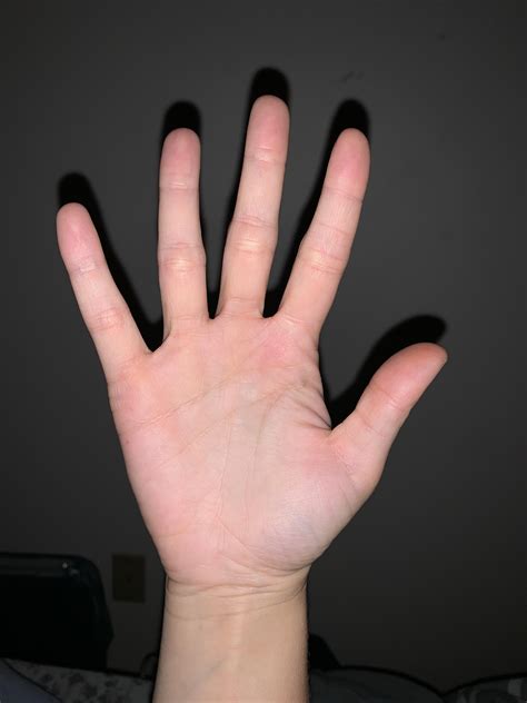 23 F Right Hand Dominant I Am Learning How To Read Palms And Was