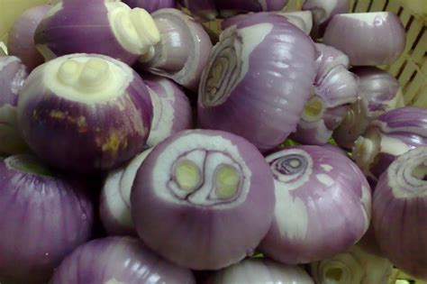 Siapkan wajan, tumis bawang dengan api kecil. Sekadar suka-suka: Daun sup daun bawang..