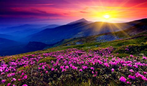 Beautiful Valley Sunset Wallpapers Gallery