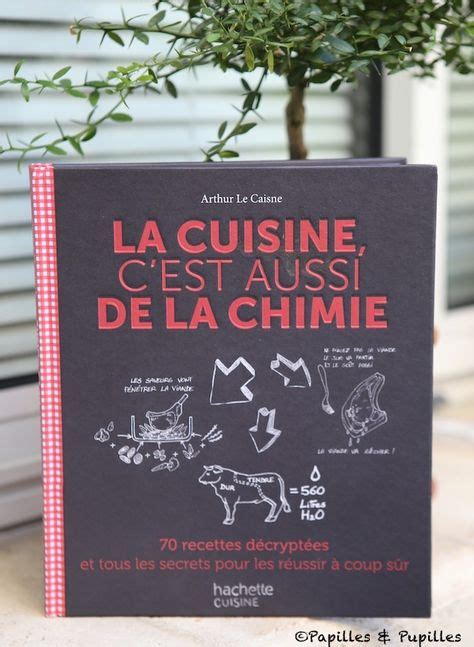 La Cuisine C Est Aussi De La Chimie Arthur Le Caisne Livre De