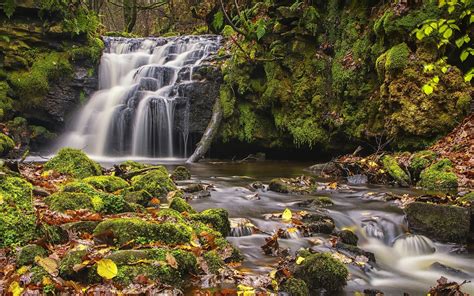 Todmorden West Yorkshire England Waterfall Moss Leaves Autumn