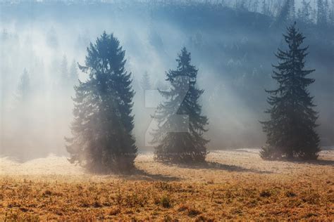 Slovakia Autumn Morning In The Western Tatras By Naumenkophotographer