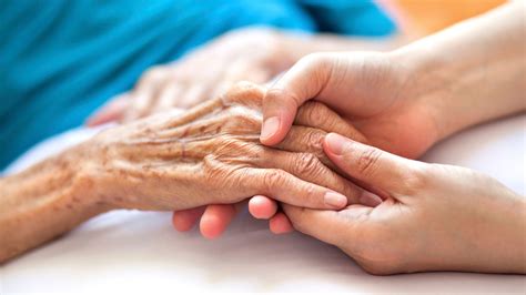 ‘meaning In Frailty Research To Aid Aged Care Csu News