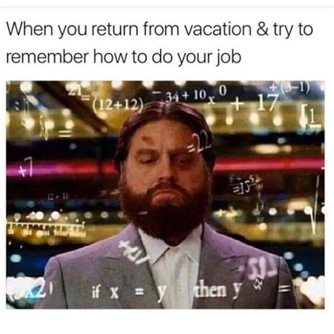 When You Return From A Vacation And Try To Remember How To Do Your Job