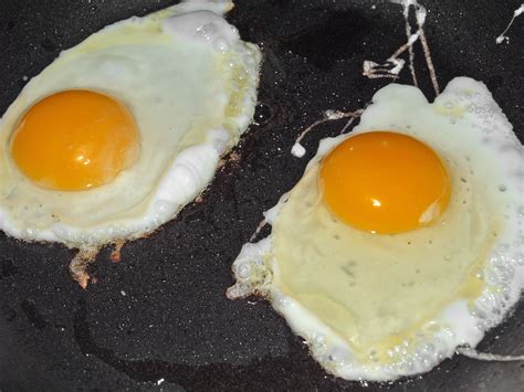 Filefried Eggs