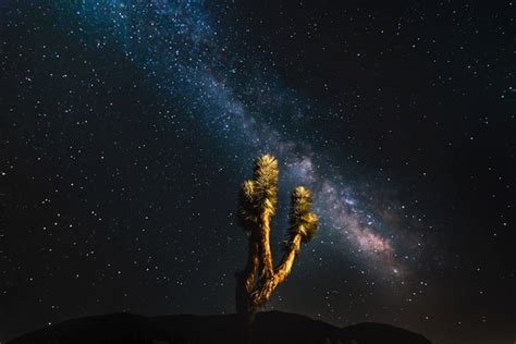 Joshua Tree Is Now Officially A Dark Sky Park Thanks To Its