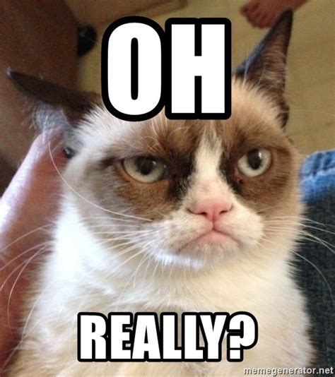 Oh Really Mr Angry Cat Meme Generator