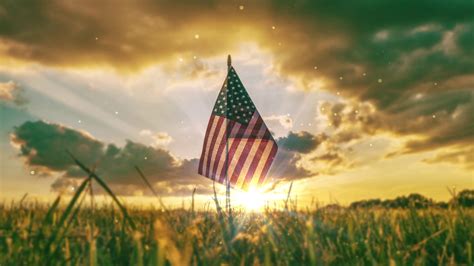 American Patriotic Flag In Field Stock Motion Graphics Sbv 314787985