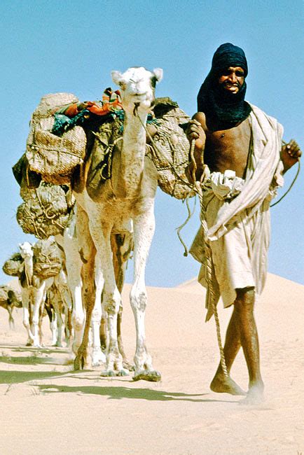 Fascinating Humanity Sahara Salt Caravan