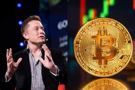 Elon musk‏подлинная учетная запись @elonmusk 4 июн. Elon Musk Twitter Bitcoin Meme : - Notizie e News Bitcoin ...
