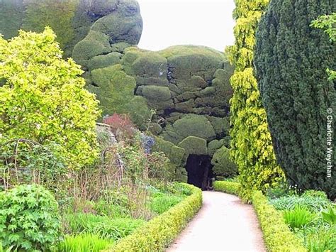 Powis Castle The Wonderfully Lumpy Yew Hedge British Garden Reading