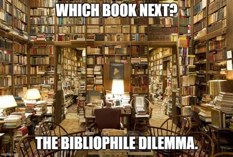 Bibliophile Dilemma Imgflip