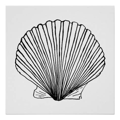 Black And White Scallop Shell Seahorse Art Seashell Art Summerland