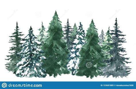 Watercolor Pine Trees Background Banner With Hand Painted