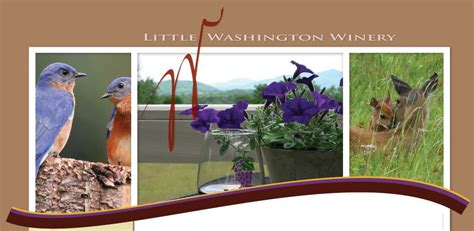 Little Washington Winery And Vineyards Washington Wineries Virginia