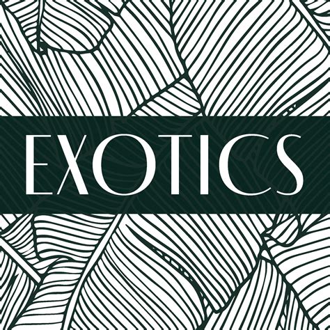 ALCHEMY — MAVEN GENETICS