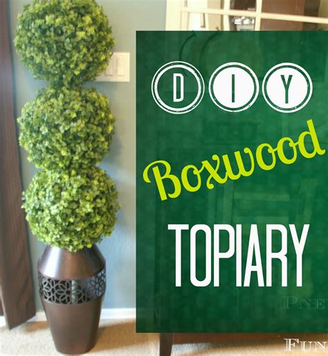 Diy Boxwood Topiary Pneumatic Addict