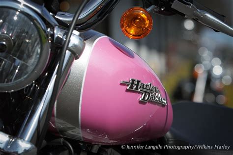 Motorcycle Paint Ideas Jenniferlangillephotographyfiles