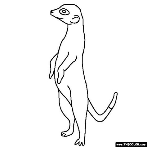 Meerkat Coloring Page Coloring Pages Free Coloring Pages Color