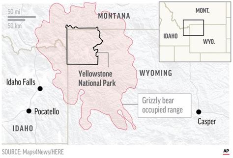 Montana Judge Restores Protections For Grizzly Bears
